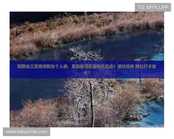 玩球大平台彩票数字高频玩法防骗避坑指南